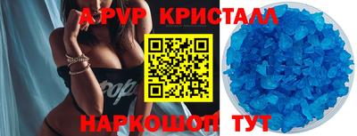 хмурый Кингисепп