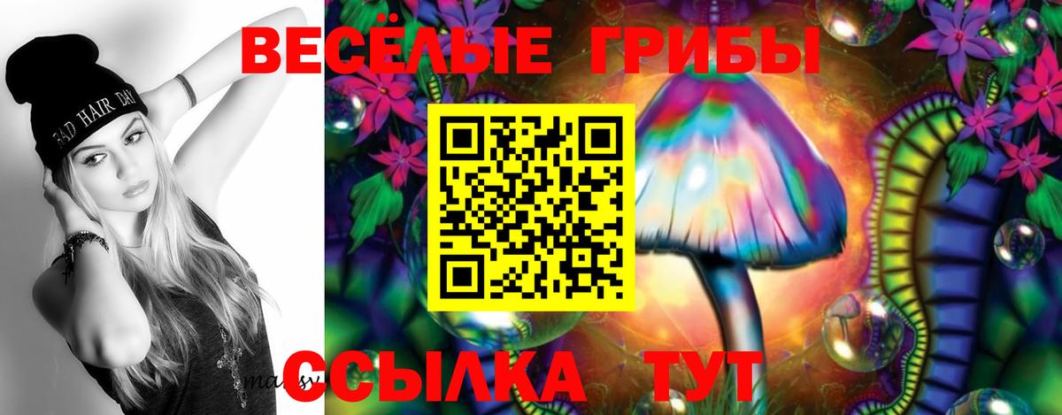 цены наркотик  Галлюциногенные грибы Magic Shrooms  Вход с VPN  Шадринск 